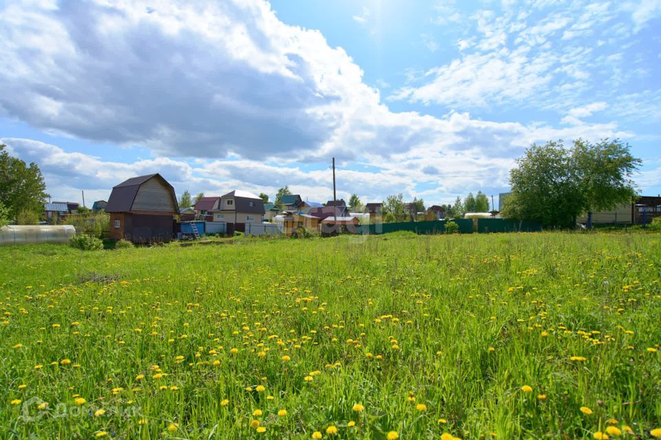 земля г Томск снт Ветеран деревня Просекино, Томский район фото 2