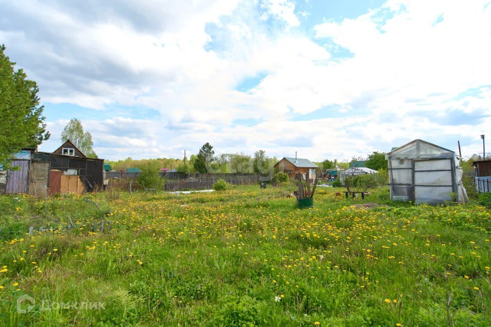 земля г Томск снт Ветеран деревня Просекино, Томский район фото 4