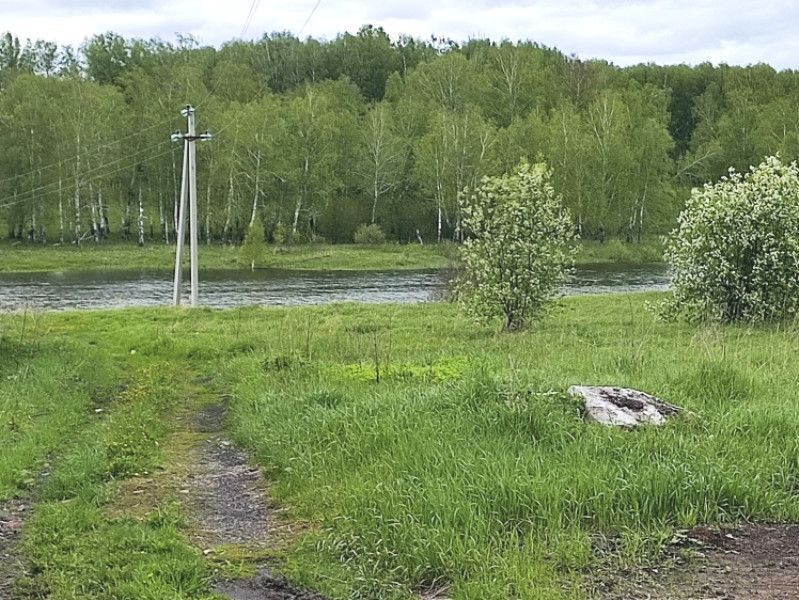 земля р-н Новосибирский посёлок Ленинский фото 2