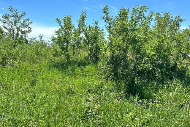 ул Роз городской округ Ставрополь фото