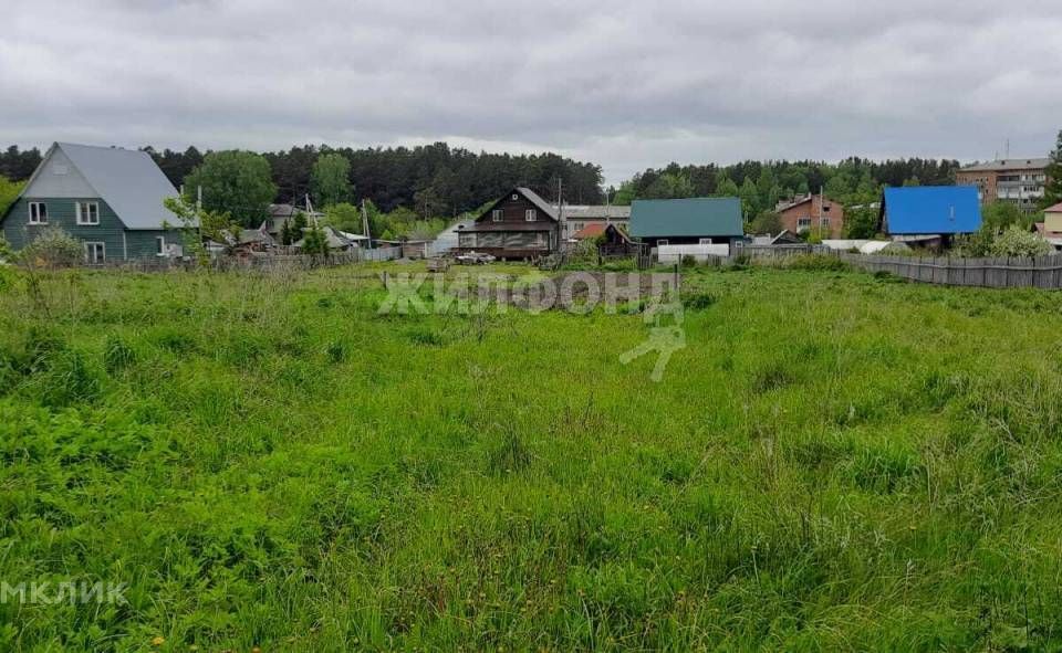 земля р-н Новосибирский п Двуречье ул Пархоменко Барышевский сельсовет фото 1