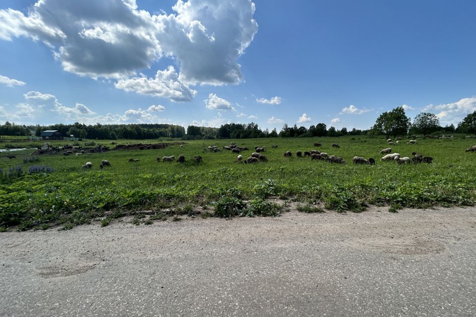 земля р-н Александровский село Андреевское фото 1