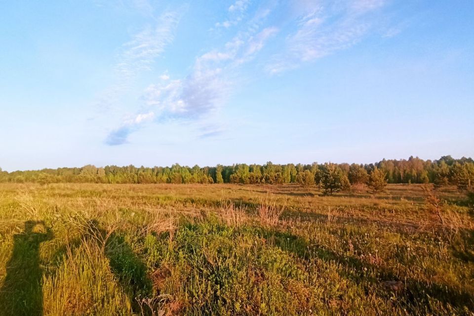 земля р-н Нижнетавдинский посёлок Торгили фото 3