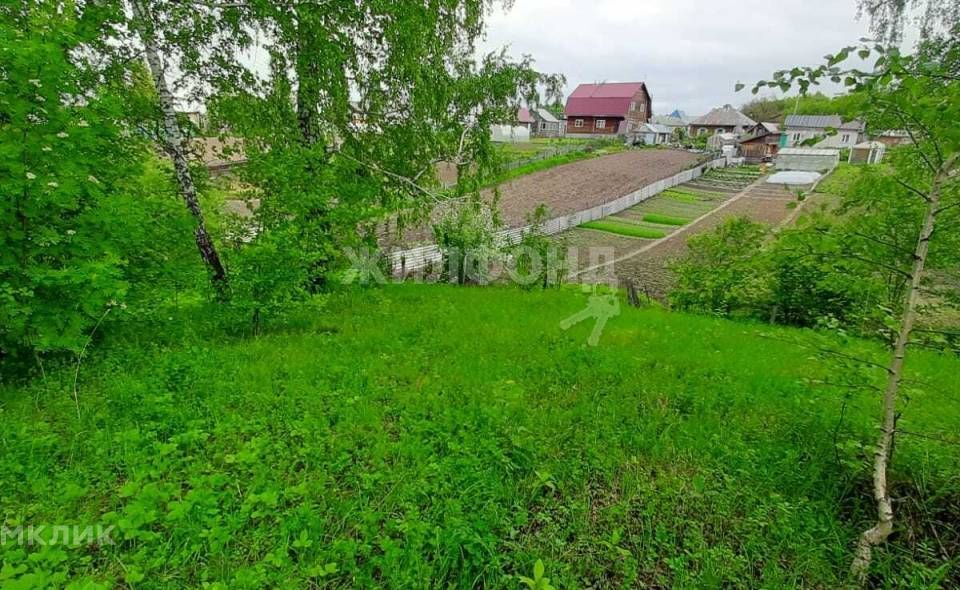 земля р-н Новосибирский с Барышево ул Овражная фото 3