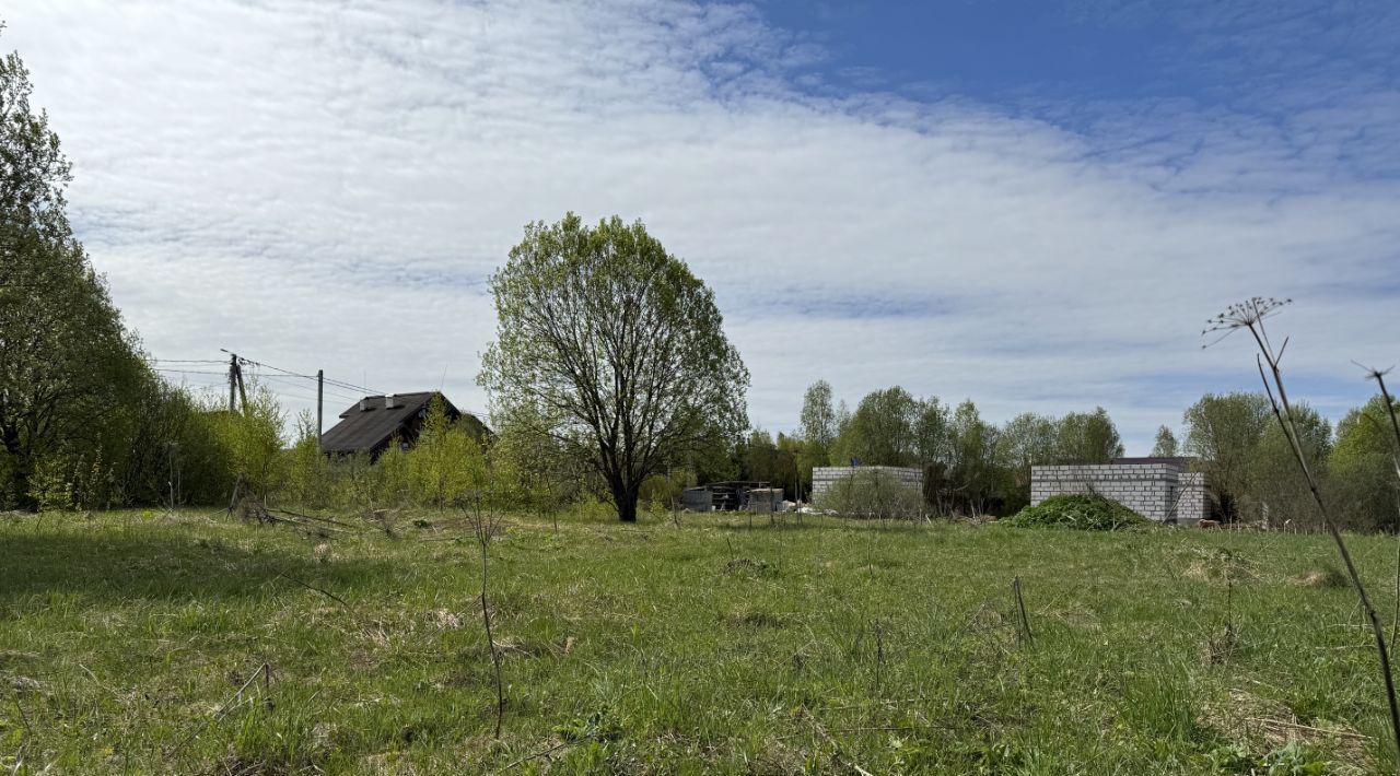 земля городской округ Истра д Алексино Нахабино фото 8