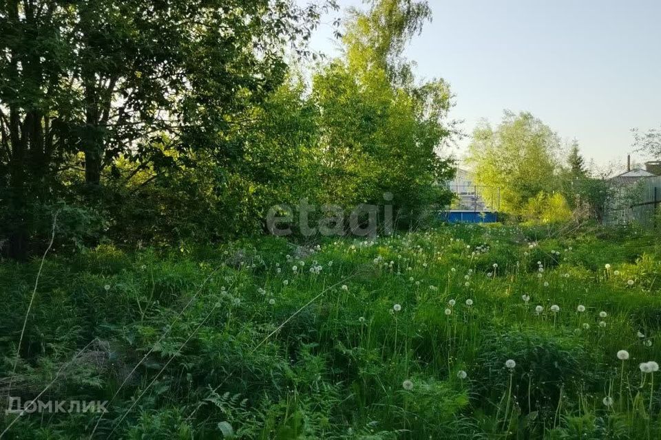 земля городской округ Нижний Новгород, деревня Мордвинцево фото 8