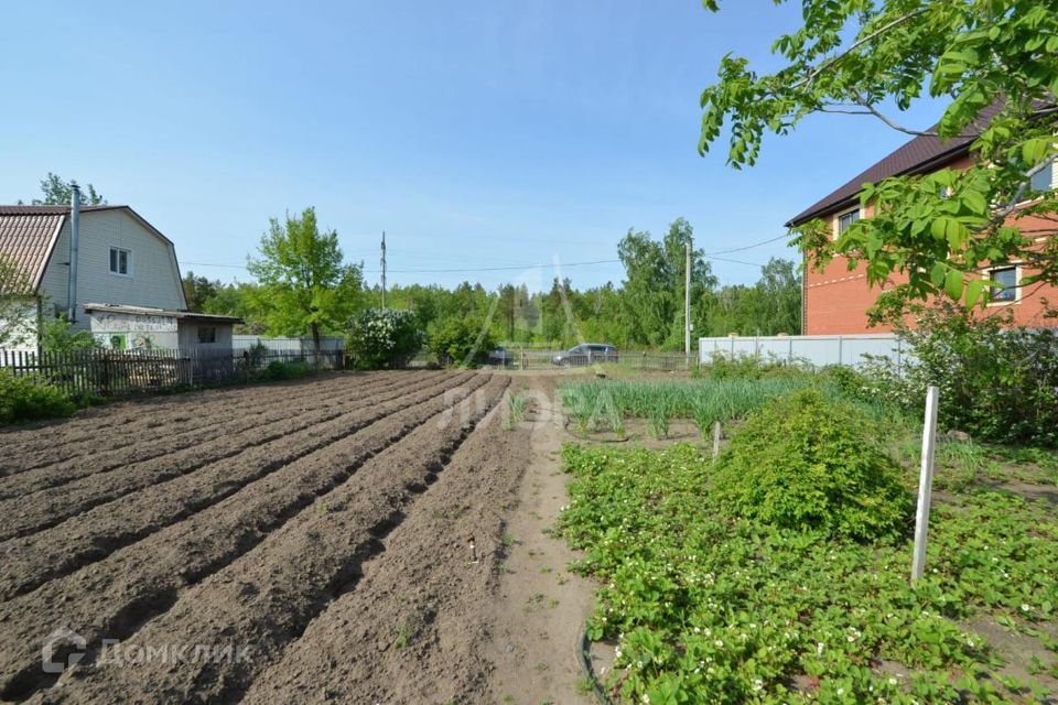 земля г Омск городской округ Омск, территория СОСН Путеец-1 фото 8