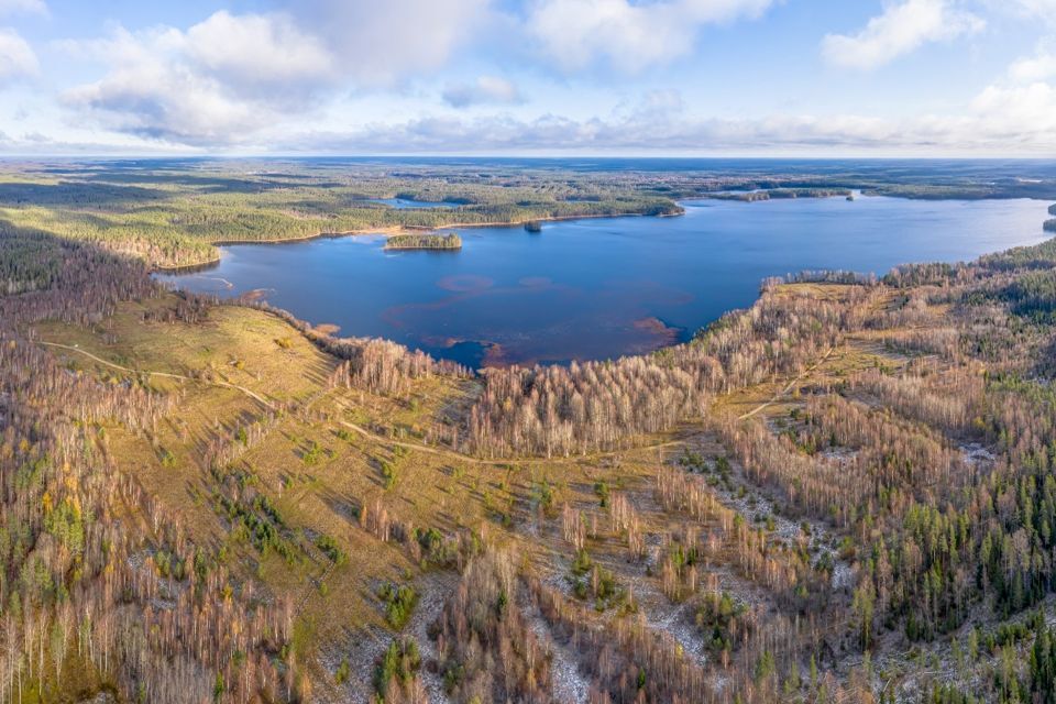 земля р-н Питкярантский Питкярантское городское поселение фото 7