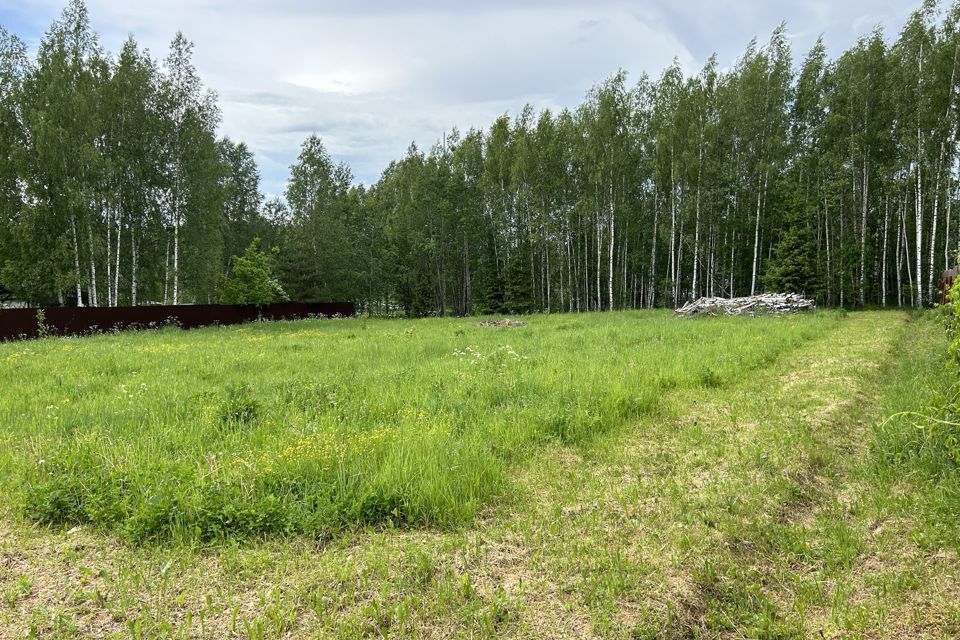 земля р-н Александровский деревня Воскресенское фото 10