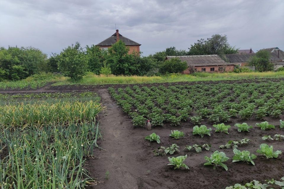 дом городской округ Шебекинский с Новая Таволжанка ул Свердлова фото 7