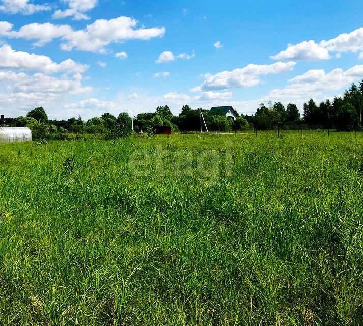 земля городской округ Нижний Тагил, село Елизаветинское фото 5