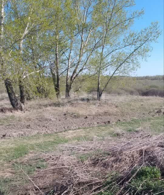 земля р-н Первомайский с Санниково мкр Березка Санниковский сельсовет фото 6