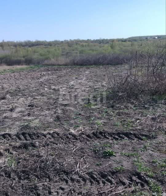 земля р-н Первомайский с Санниково мкр Березка Санниковский сельсовет фото 9