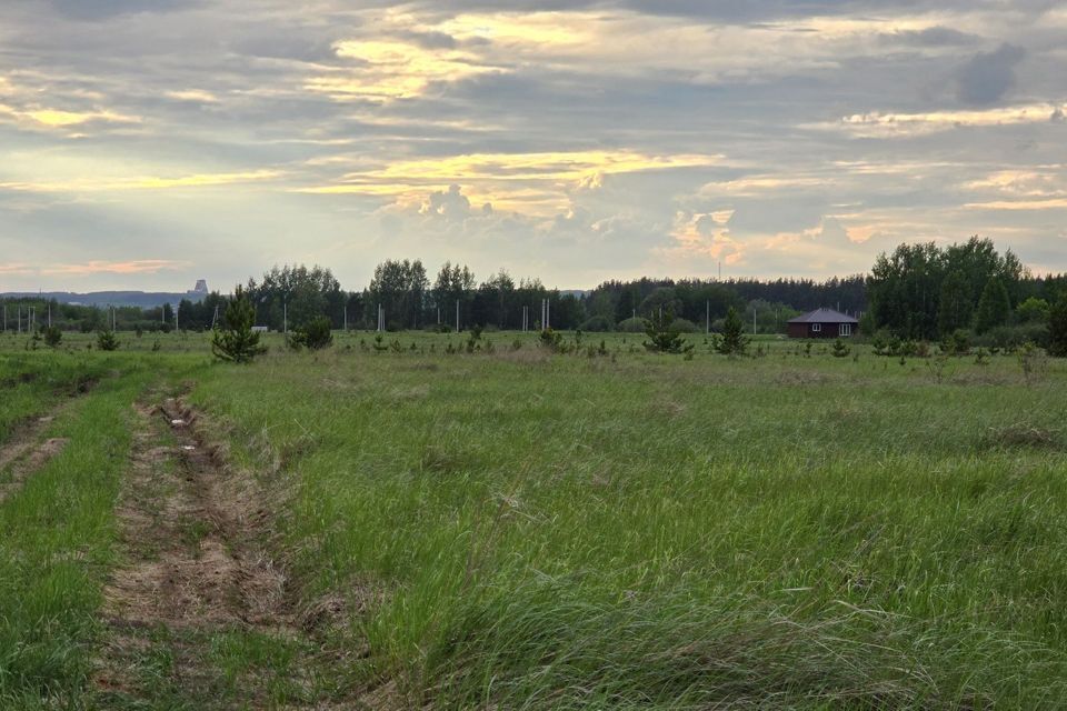 земля р-н Елабужский п Луговой ул Центральная 73 фото 8