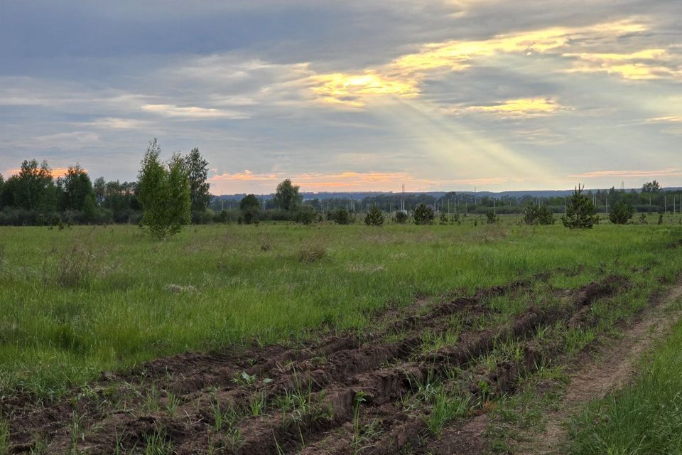 земля р-н Елабужский п Луговой ул Центральная 73 фото 7