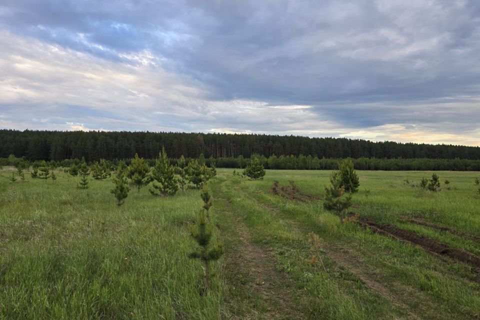 земля р-н Елабужский п Луговой ул Центральная 73 фото 9