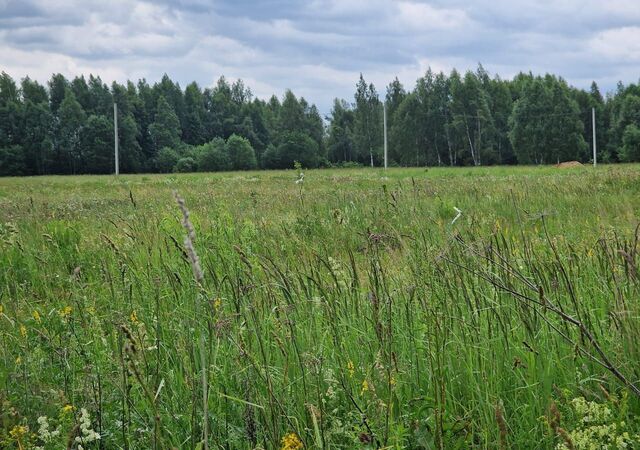 Иваньковское, Московская область, Пущино, муниципальное образование фото