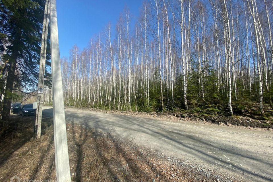 земля городской округ Первоуральск, Первоуральск фото 6