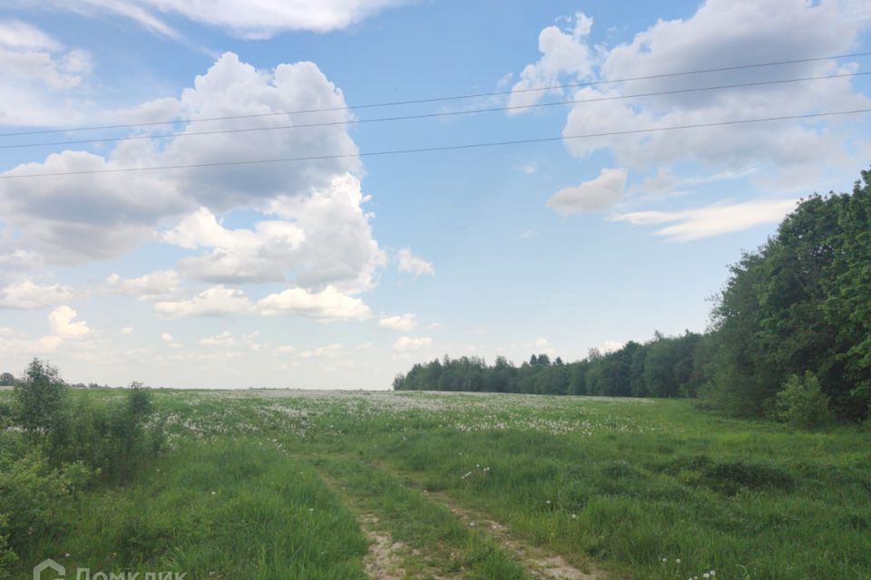 земля р-н Гатчинский Дружногорское городское поселение фото 1