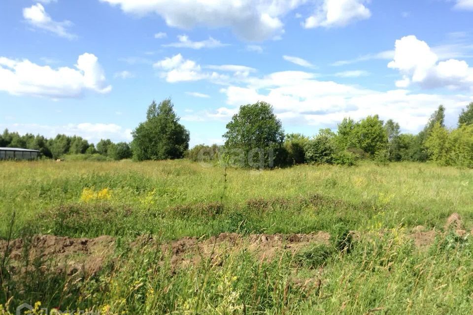 земля городской округ Луховицы д Руднево Центральная улица, городской округ Кашира фото 4