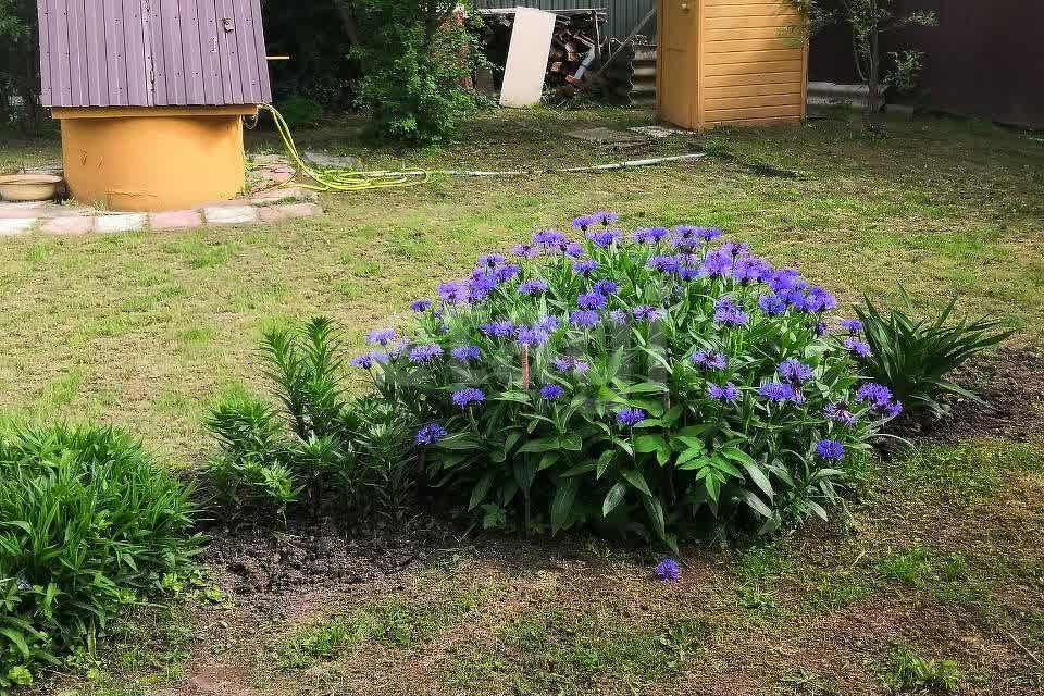 дом городской округ Коломна, 12, садовое товарищество Здоровье фото 1