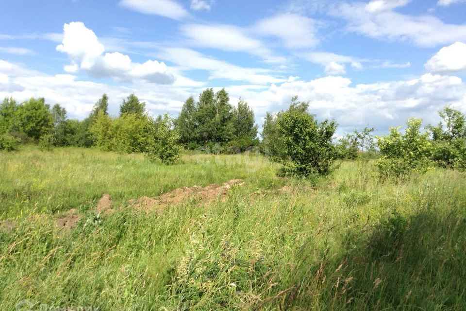 земля городской округ Луховицы д Руднево Центральная улица, городской округ Кашира фото 5