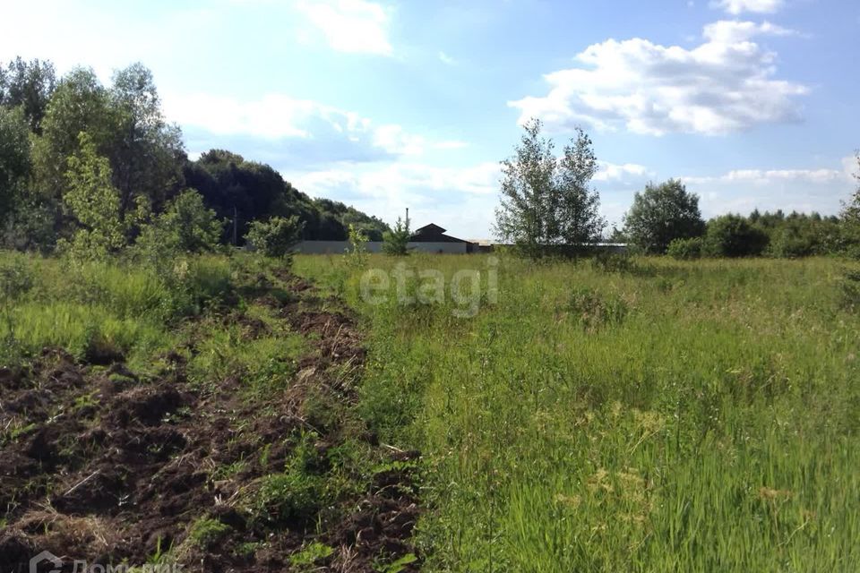 земля городской округ Луховицы д Руднево Центральная улица, городской округ Кашира фото 6