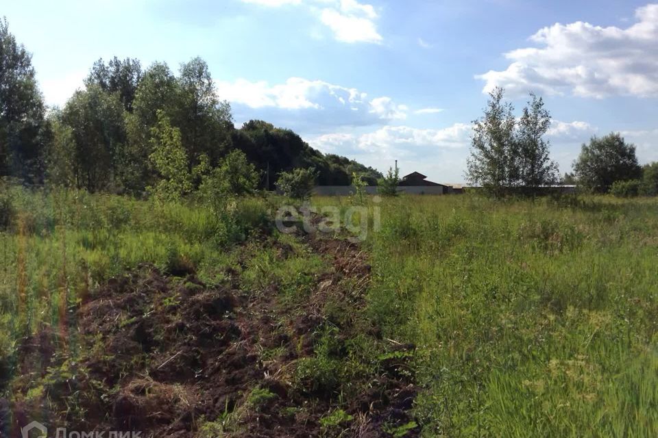 земля городской округ Луховицы д Руднево Центральная улица, городской округ Кашира фото 7