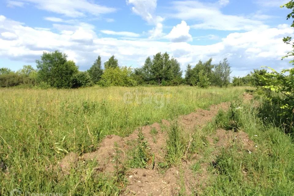 земля городской округ Луховицы д Руднево Центральная улица, городской округ Кашира фото 9