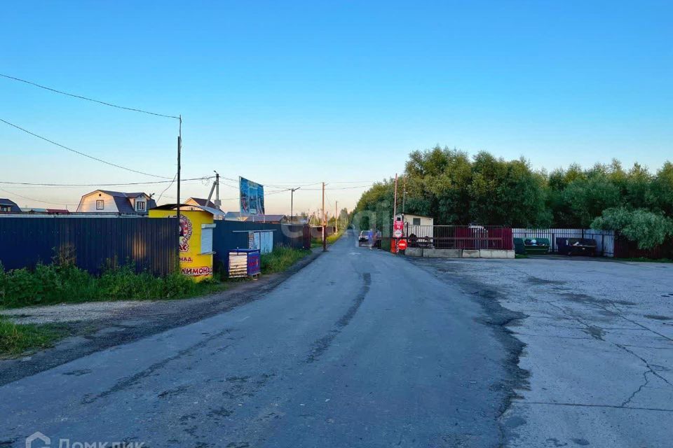 земля городской округ Воскресенск территория Сосновый бор фото 5