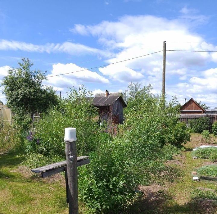 земля СДТ, Киров городской округ, Лесная Новь фото 10