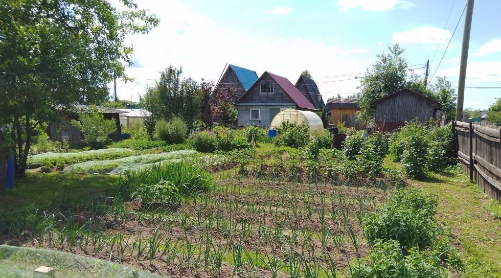 земля СДТ, Киров городской округ, Лесная Новь фото 29