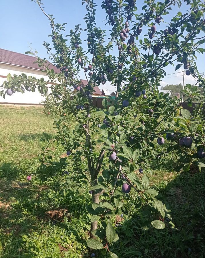 дом городской округ Дмитровский п Новосиньково садовые участки Дмитроград фото 30