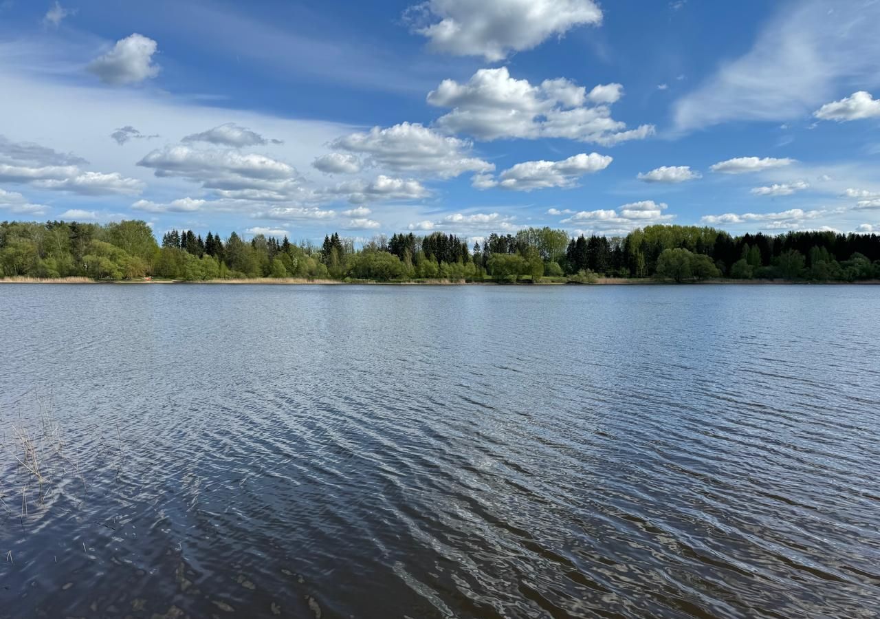 земля городской округ Солнечногорск д Татищево 13, Солнечногорск фото 3