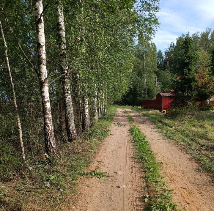 земля городской округ Пушкинский д Алёшино снт Икар фото 19