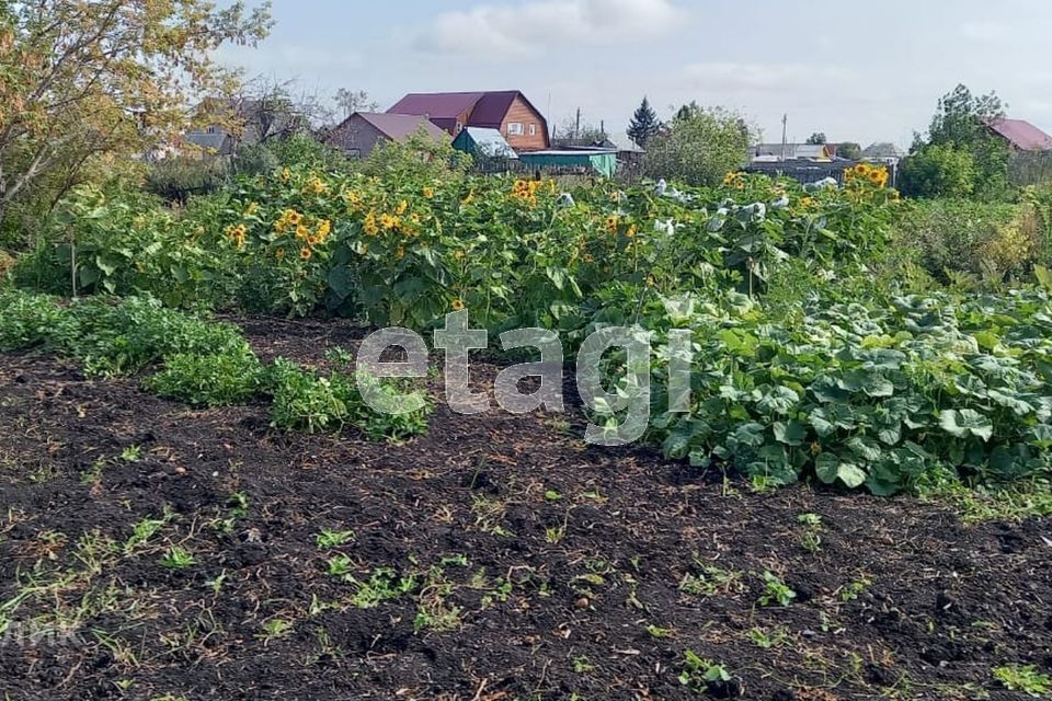 земля р-н Любинский рп Любинский ул Южная Любинское городское поселение фото 1