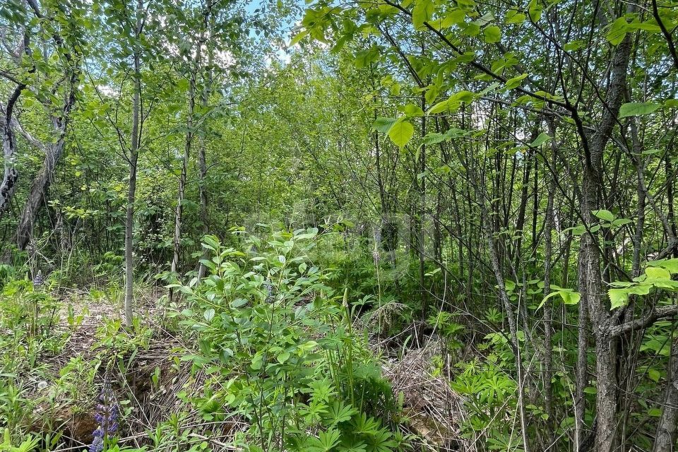 земля г Саранск р-н Ленинский городской округ Саранск, Ленинский район фото 8