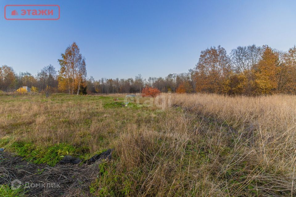 земля р-н Прионежский д Ялгуба ул Центральная фото 9