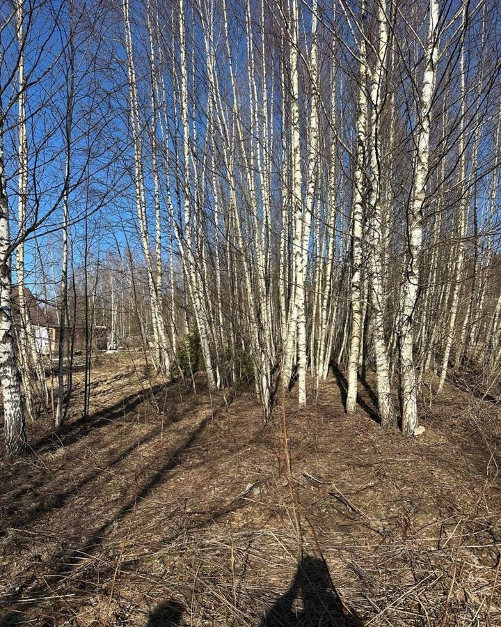 земля городской округ Шаховская садоводческое товарищество Восход фото 1