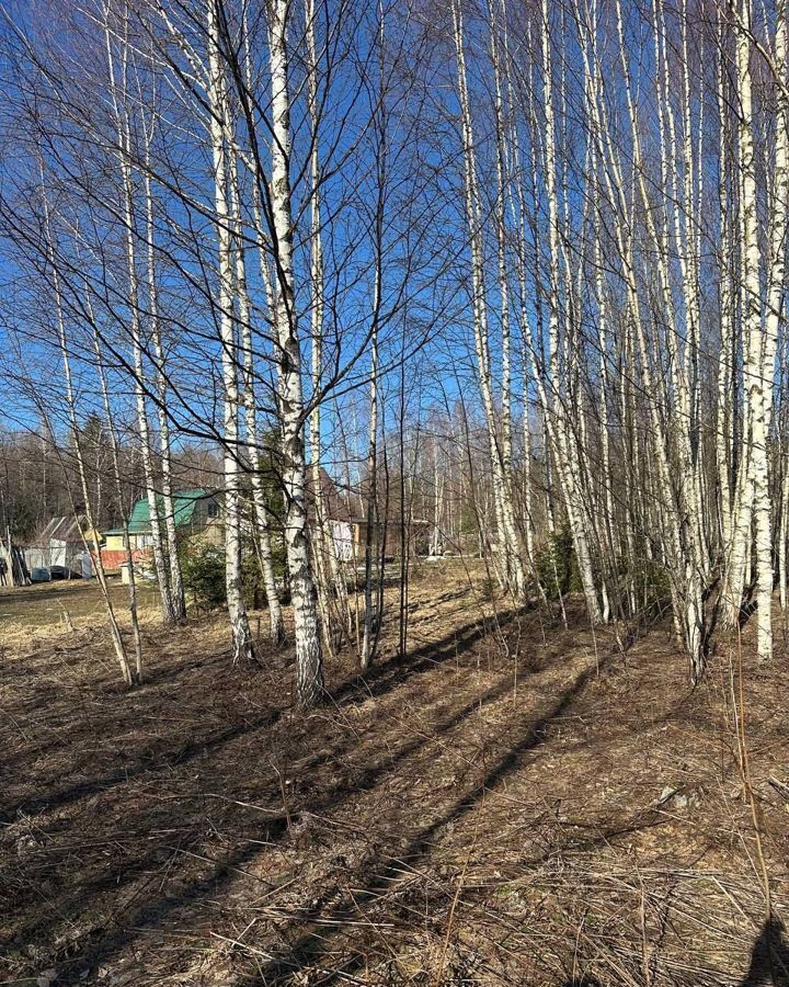 земля городской округ Шаховская садоводческое товарищество Восход фото 2