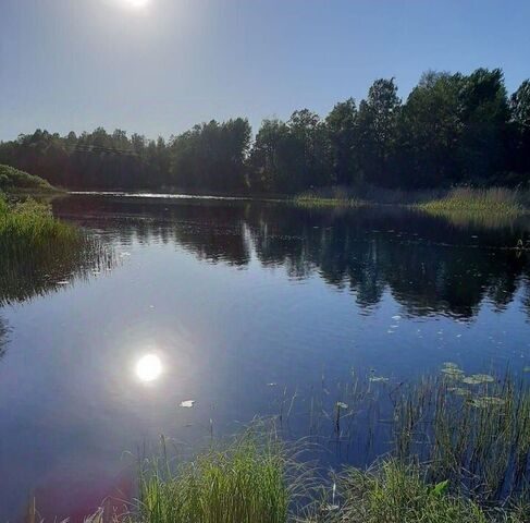 земля п Пальцево ул Привокзальная Гончаровское с/пос фото