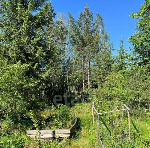 Геологическая снт Архитрав 83 фото