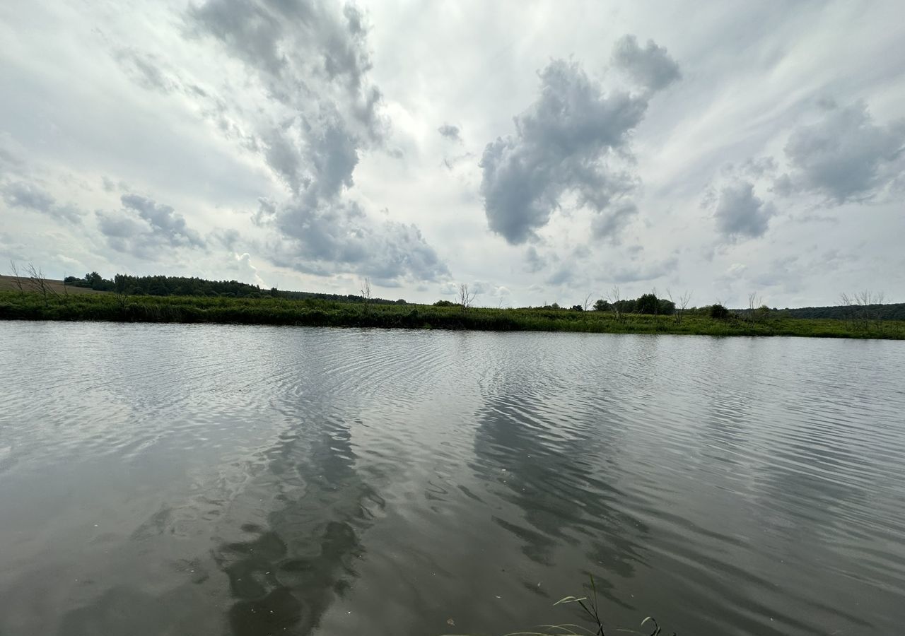 земля городской округ Серебряные Пруды д Ливадия Серебряные Пруды фото 8