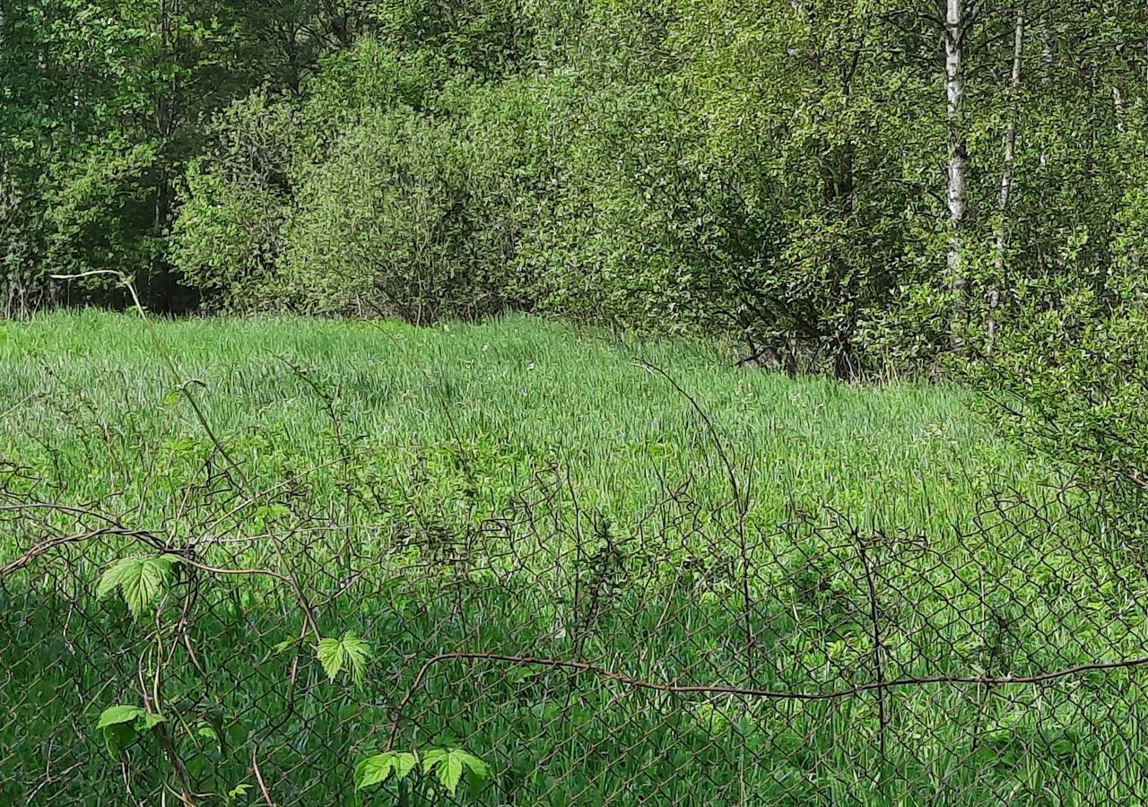 земля городской округ Талдомский д Петрино Вербилки фото 8