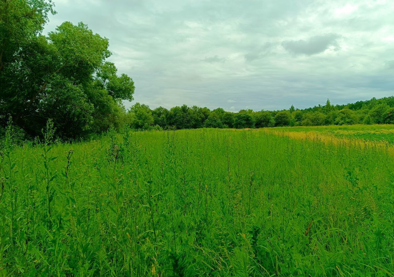 дом р-н Орловский д Кулики Орёл фото 13