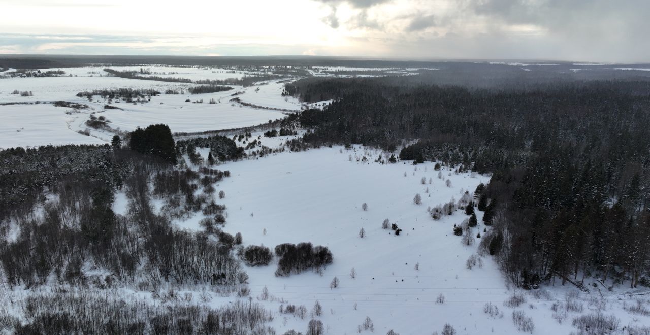 земля река Медведица, Рамешки фото 8