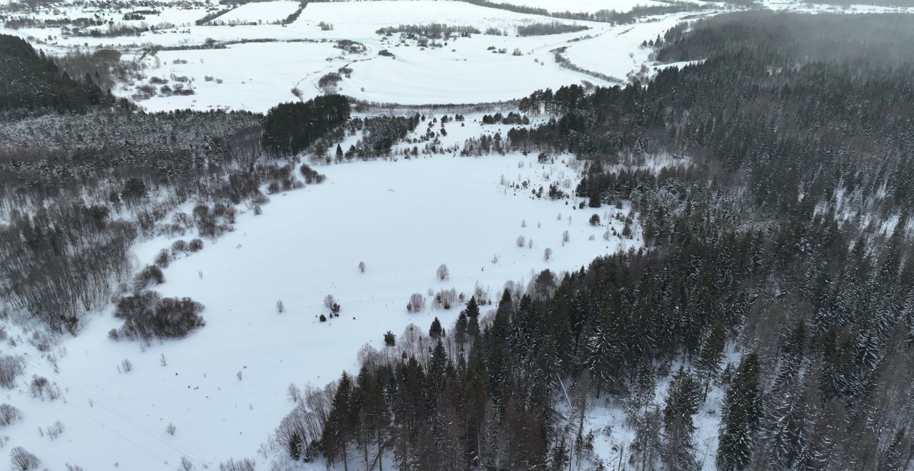 земля река Медведица, Рамешки фото 9