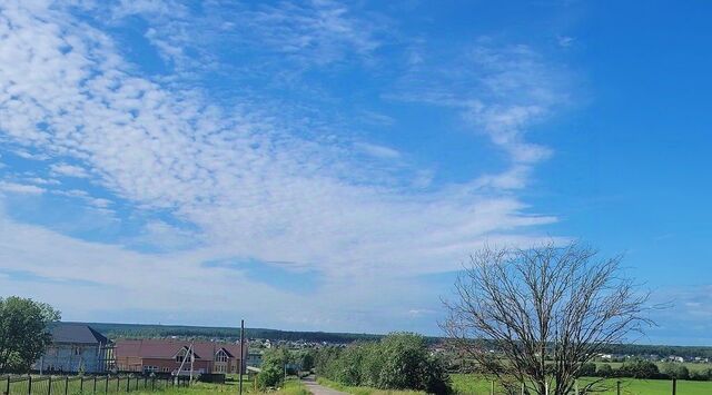 днп Тиммолово ул Канатная Аннинское городское поселение фото