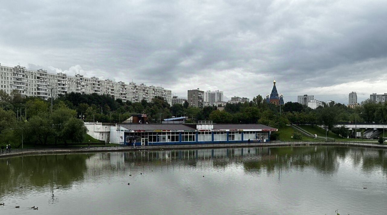 торговое помещение г Москва метро Севастопольская р-н мкр Северное Чертаново к 208 фото 6