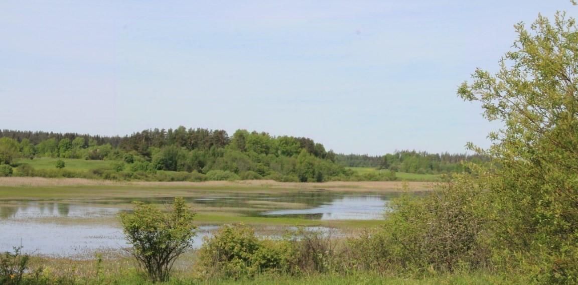 земля р-н Приозерский п Севастьяново ул Заречная фото 7